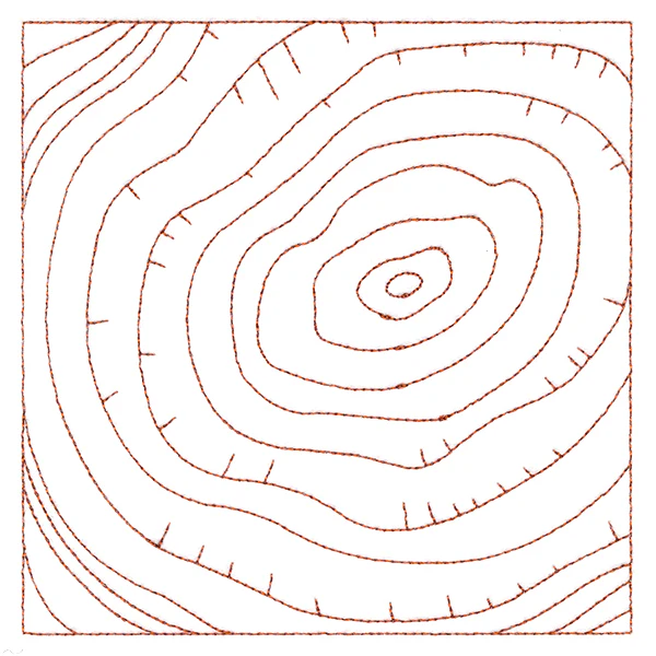 Nature's Wonders - Tree Rings (Double Run) - Image 4