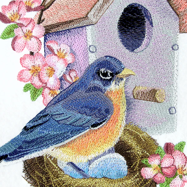 Nesting Bluebird in Spring - Image 6