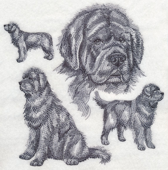 Newfoundland Sketch