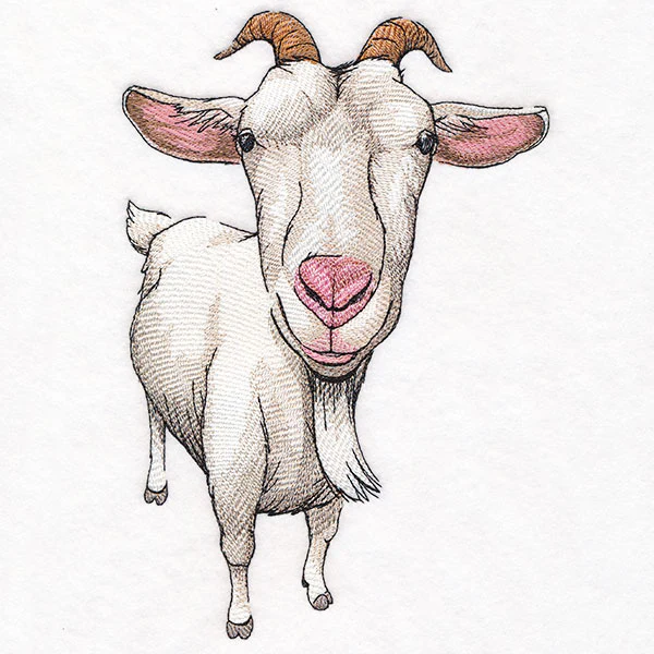 Nosey Goat - Image 2
