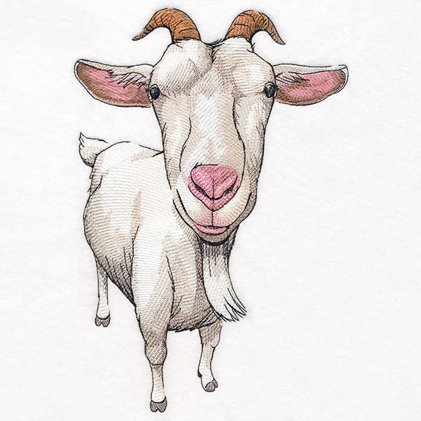 Nosey Goat - Image 5