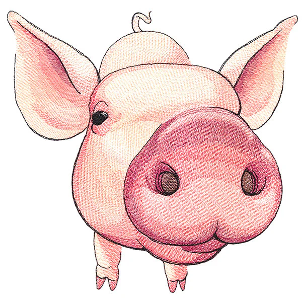 Nosey Pig