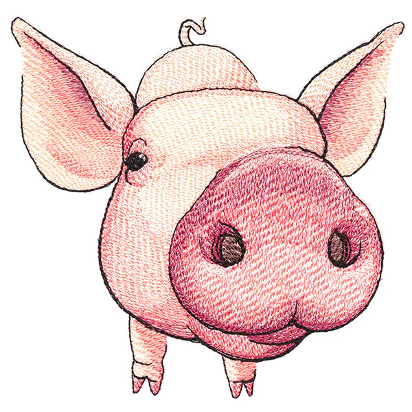 Nosey Pig - Image 7