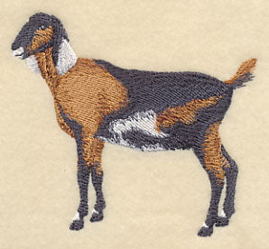 Nubian Goat 1 - Image 3