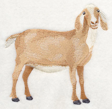 Nubian Goat 3 - Image 4