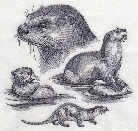 Otter Sketch - Image 2