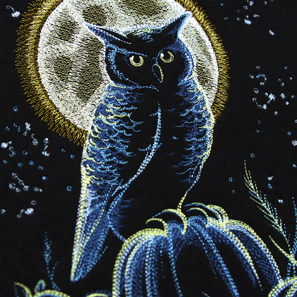 Owl in the Moonlight - Image 8