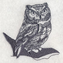 Owl Wisdom - Screech Owl - Image 3