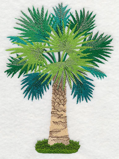 Palmetto - Image 3