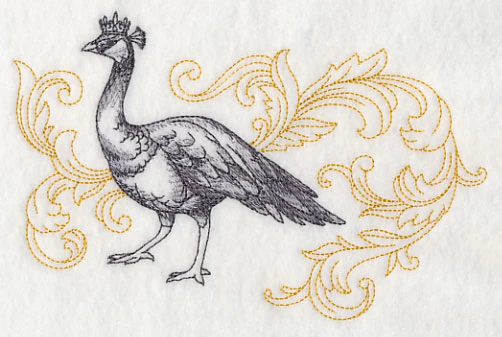Peahen in Crown - Image 4