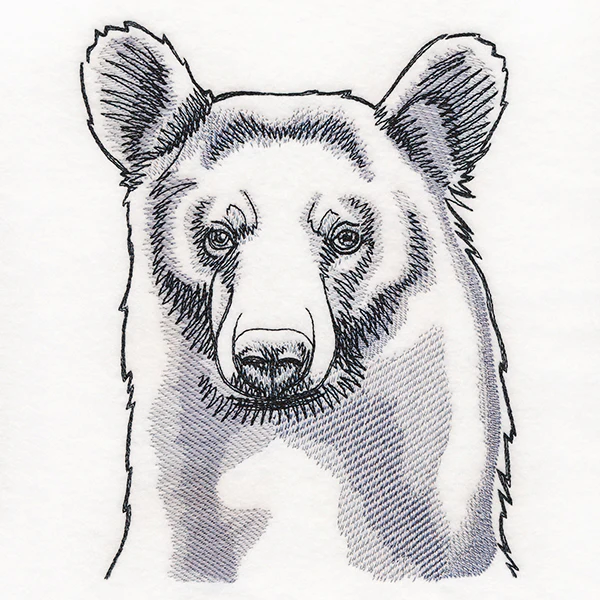 Peeking Bear Etching - Image 2