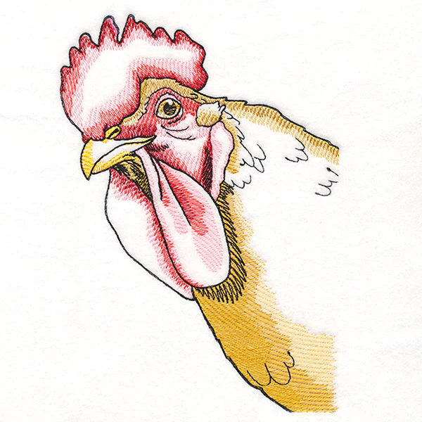 Peeking Chicken