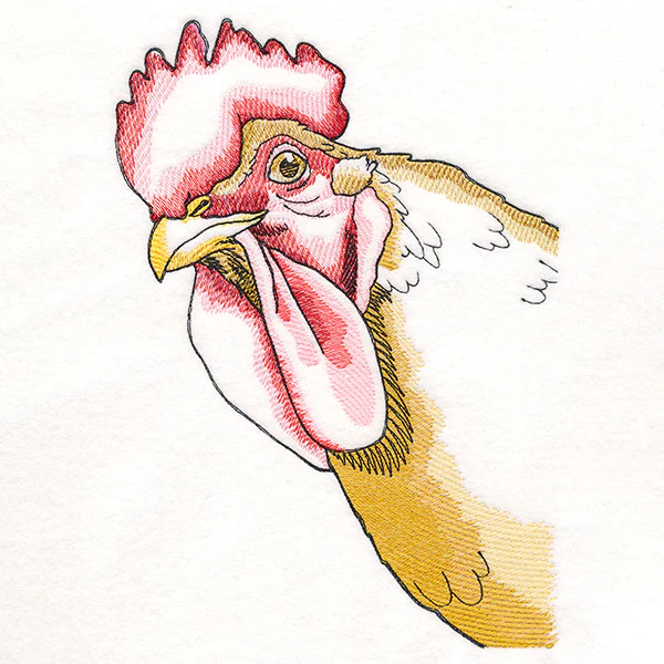 Peeking Chicken - Image 2