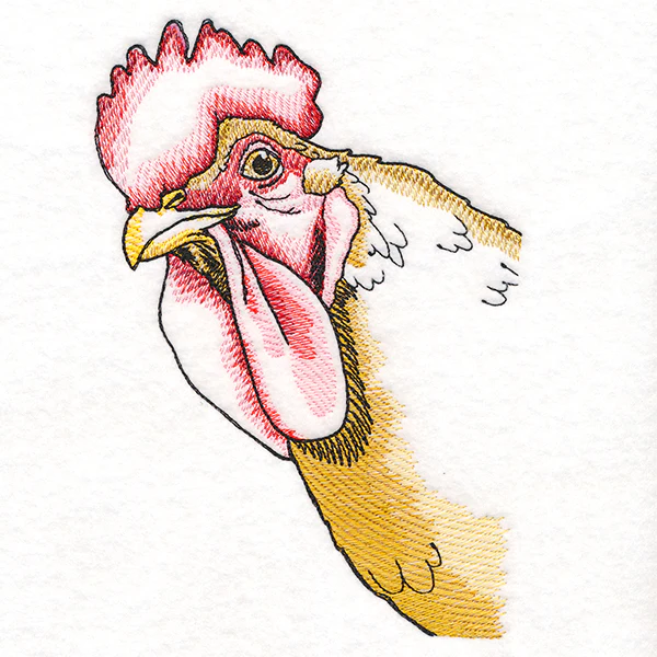 Peeking Chicken - Image 3