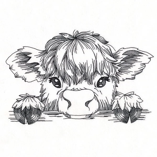 Peeking Highland Cow Sketch - Image 3