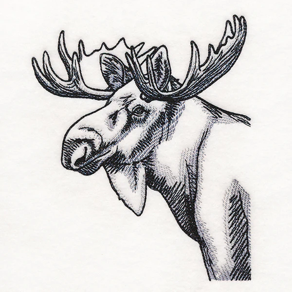Peeking Moose Etching - Image 3