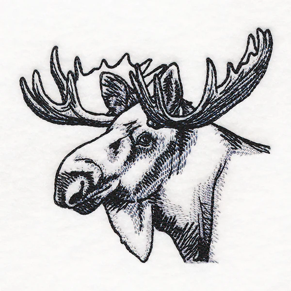 Peeking Moose Etching - Image 4