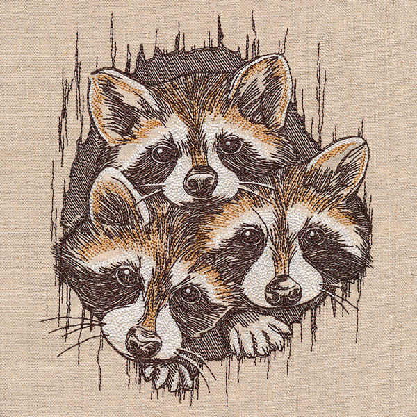 Peeking Raccoons Trio - Image 3