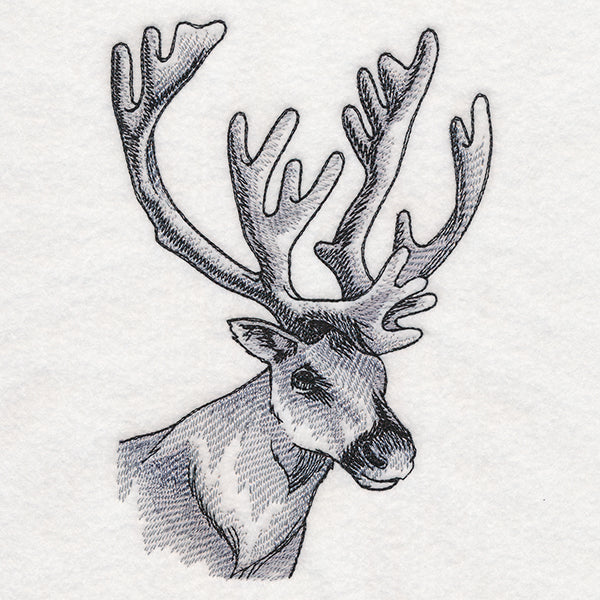 Peeking Reindeer Etching - Image 4