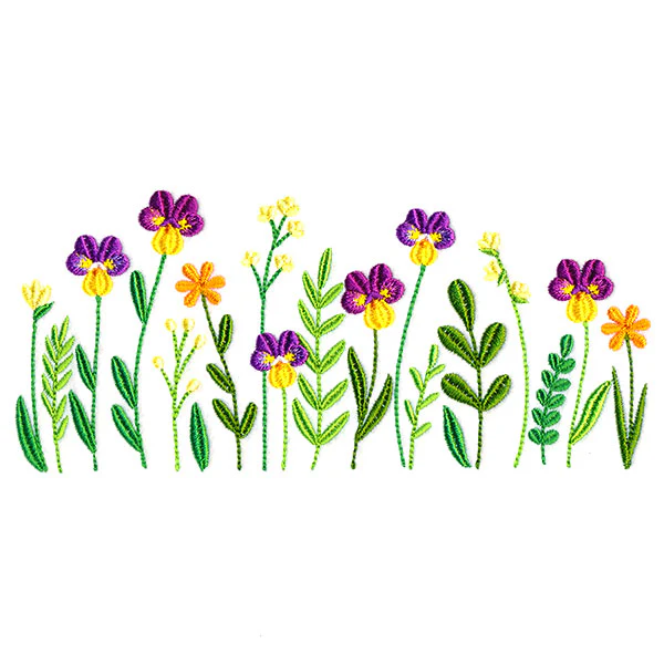Perfect Pansy Border - Image 7