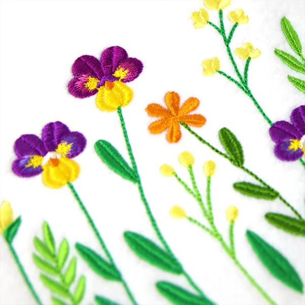 Perfect Pansy Border - Image 8