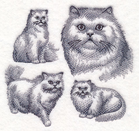 Persian Cat Sketch - Image 2
