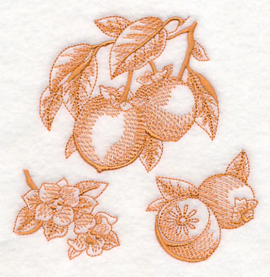 Persimmon Botanical (Toile) - Image 4