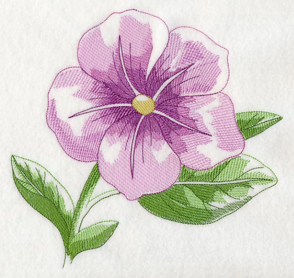 Petunia Beauty