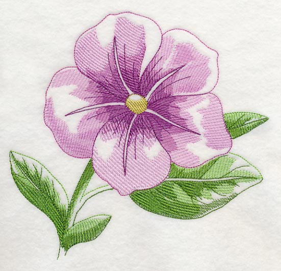 Petunia Beauty - Image 2