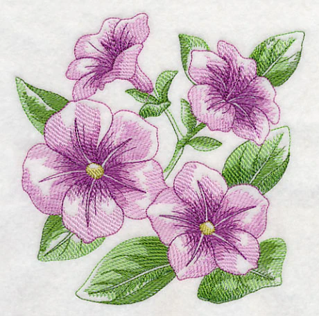 Petunia Sketch - Image 3