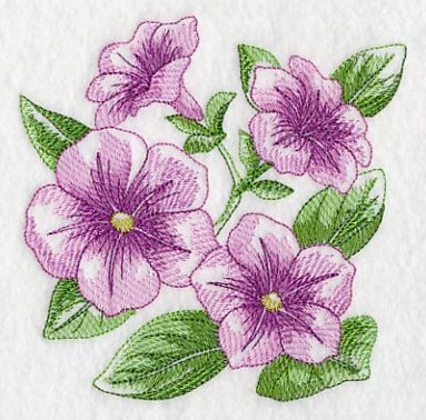 Petunia Sketch - Image 4