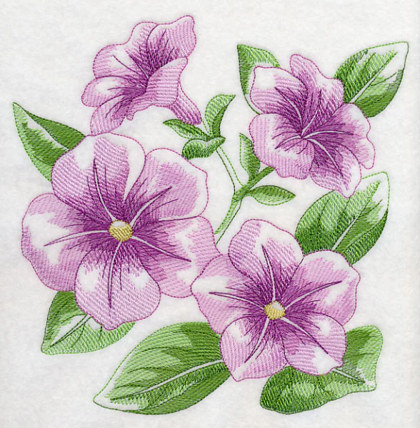 Petunia Sketch - Image 6