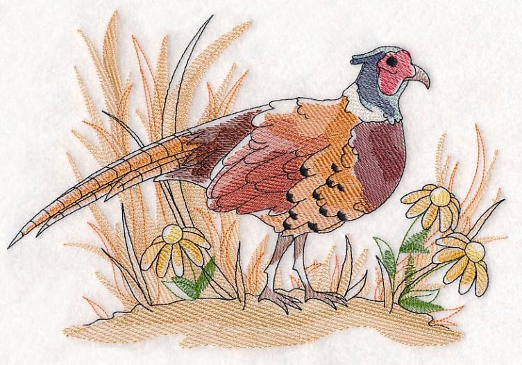 Pheasant Sketch - Image 5
