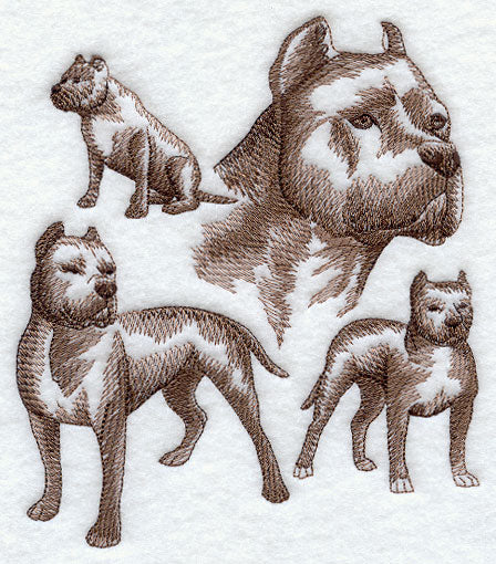 Pit Bull Sketch - Image 3