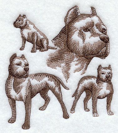 Pit Bull Sketch - Image 4