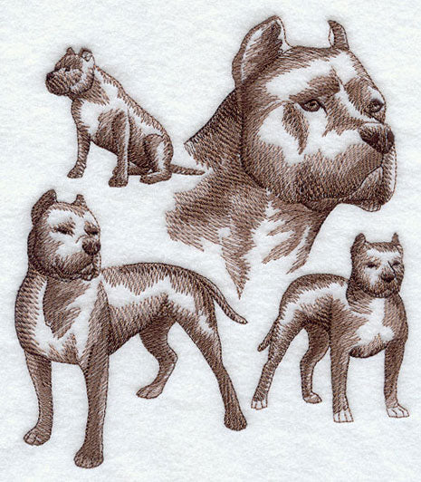 Pit Bull Sketch - Image 5