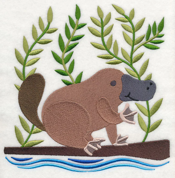 Platypus in the Wild - Image 6