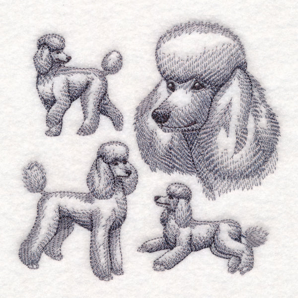 Poodle Sketch - Image 4
