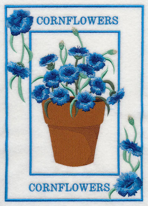 Potted Cornflowers Medley - Image 4