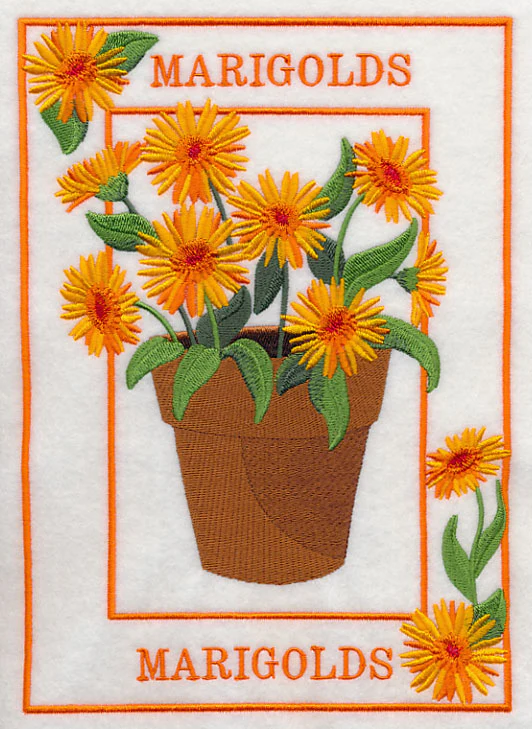Potted Marigolds Medley - Image 5