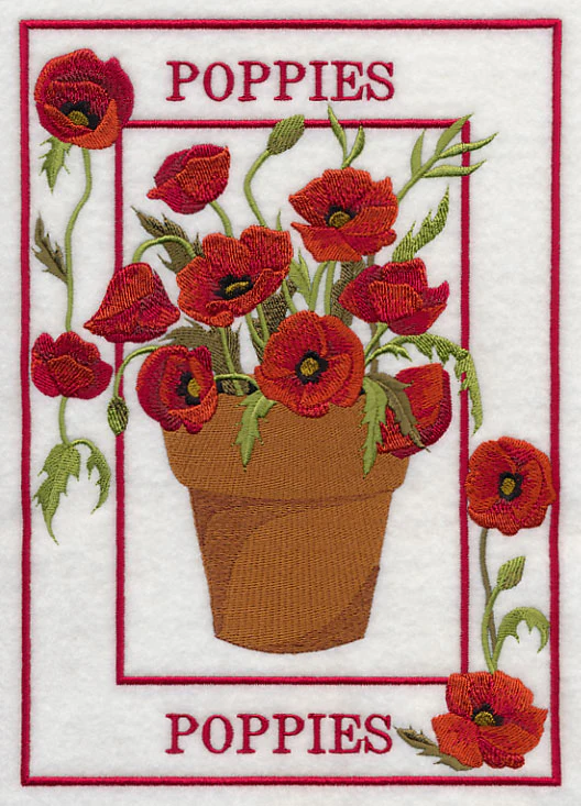 Potted Poppies Medley - Image 5