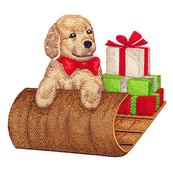 Precious Sledding Puppy