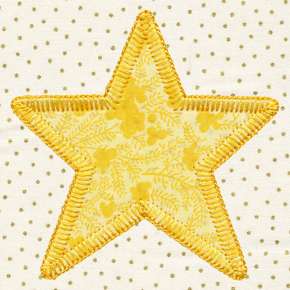 Primitive Americana Star (Heirloom Applique) - Image 7