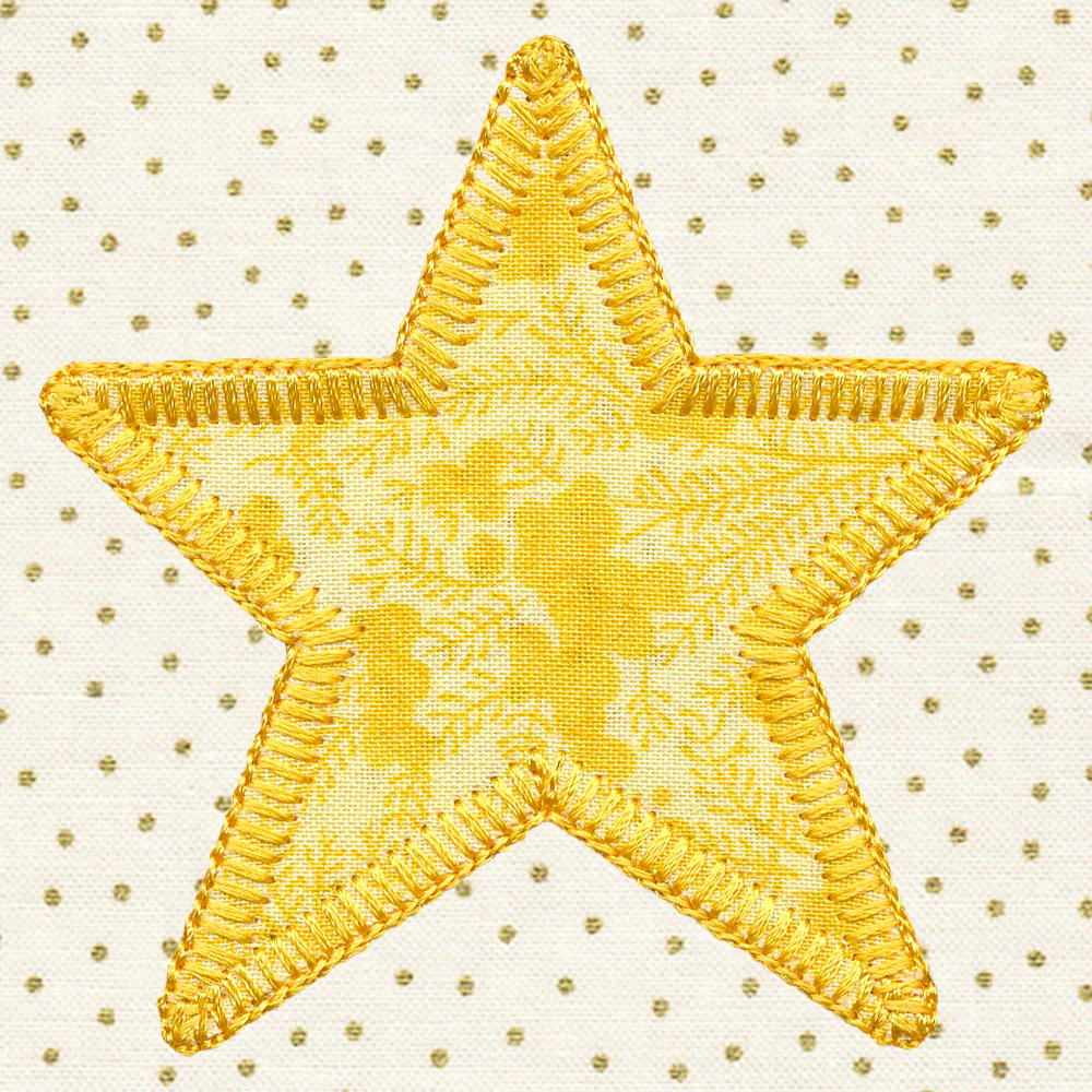 Primitive Americana Star (Heirloom Applique) - Image 8