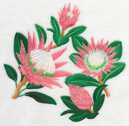 Protea Flower Collage - Image 2