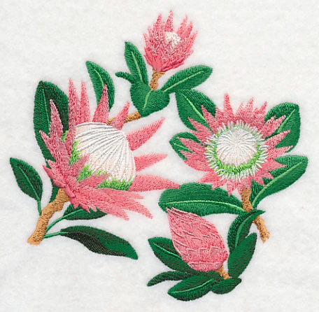 Protea Flower Collage - Image 3