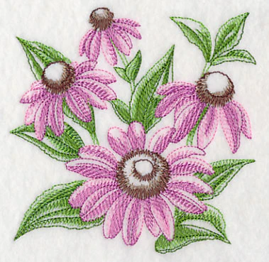 Purple Coneflower Sketch - Image 4