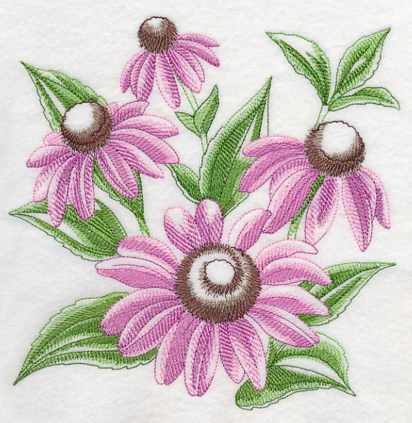 Purple Coneflower Sketch - Image 6
