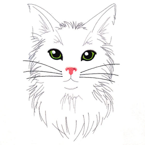 Purr-ty Cat