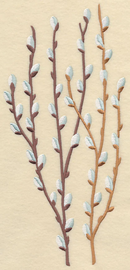 Pussy Willow Bunch 2